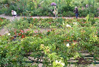 View from Monet's bedrom