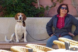 Dog and owner in Alghero, Sardinia