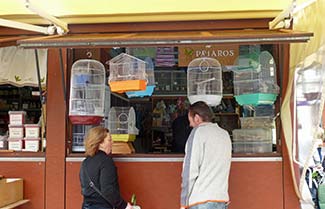 Bird stall in dwntown Cadiz
