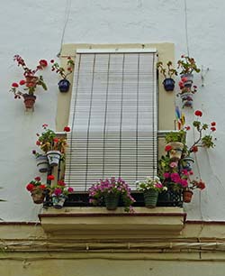 Exterior window shade in Cadiz