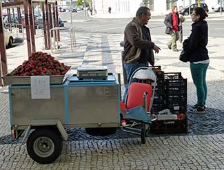Strawberry vendor in Lisbon