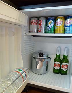 Refrigerator on Silver Spirit