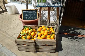 Orange vendor in Sóller