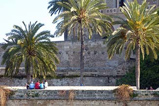 Tourists in downtown Palma de Mallorca