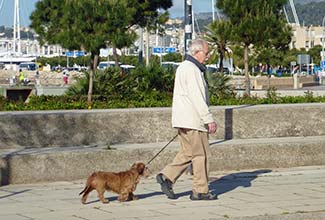 Man and dog in Palma de Mallorca