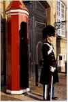 Amalienborg Palace guard