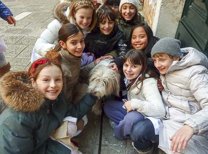 Maggie the bearded collie in Venice, Italy