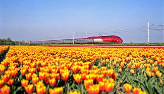 Thalys train photo