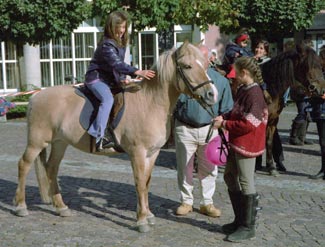 Pony ride photo
