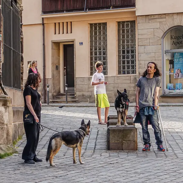 Dogs and their companions take it easy in Nuremberg, Germany.