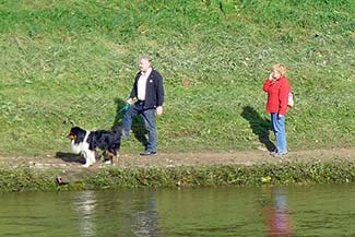 Walking a dog along the Elbe