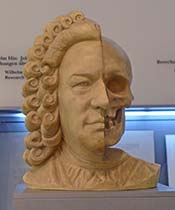 Johann Sebastian Bach clay over skull model