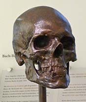 Johann Sebastian Bach's skull casting