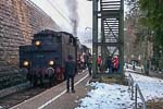 Dreiseenbahn steam train in Seebrugg station