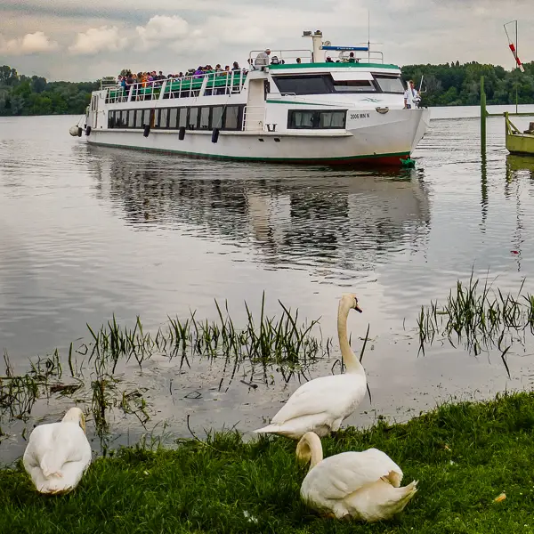 A sightseeing boat approaches the shore of Lago Superiore, which is one of three lakes in Mantua, Italy.