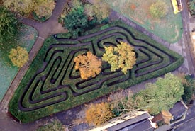 The Maze at Hampton Court Palace
