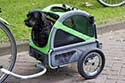 dog in bike trailer