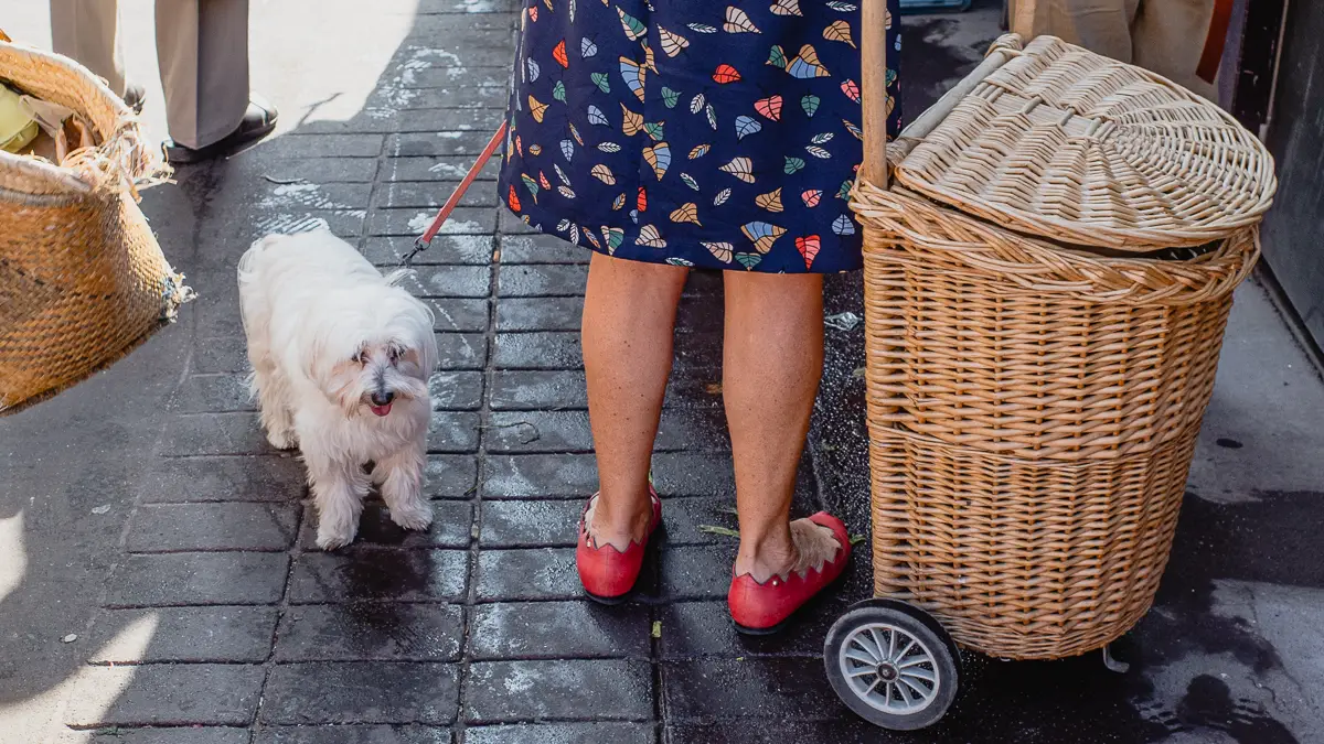 Shopping cart, dog, and woman in Beauvais, France public market.