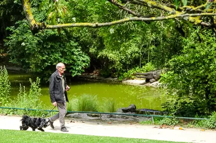 Dog walker in Parc Montsouris, Paris