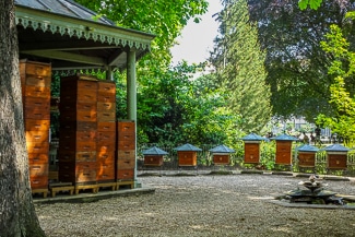 Beehives in Luxembourg Gardens