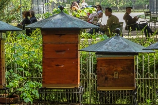 Beehives in Jardin du Luxembourg