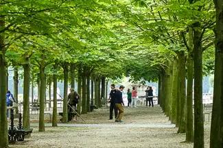 Trees and path in Jardin du Luxembourg