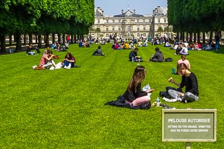 Lawn at Palais du Luxembourg
