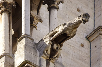 Drainspout on Notre Dame Cathedral