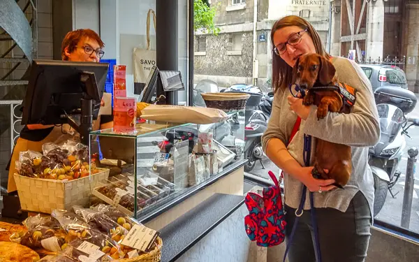 Dachshund in a Paris bakery.