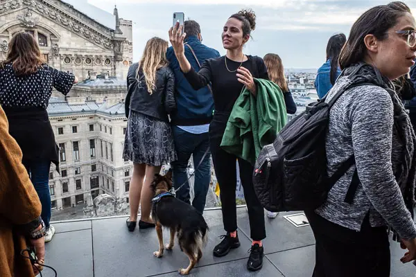 Woman with dog at Galeries Lafayette roof terrace in Paris.