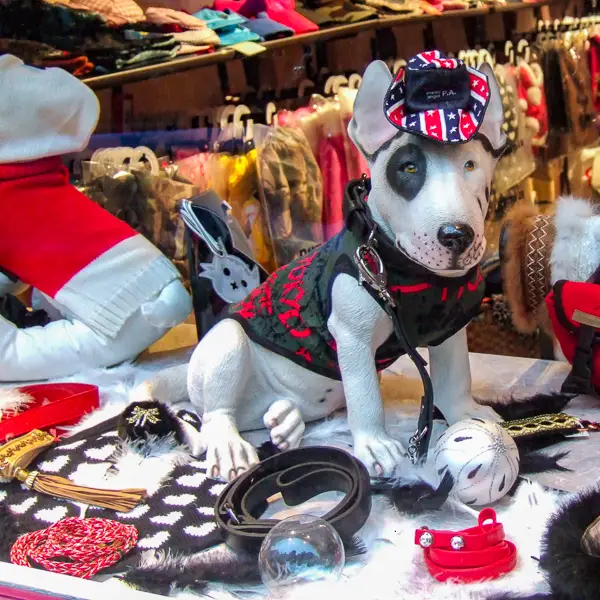 A Parisian dog mannequin poses in a Christmas display window.