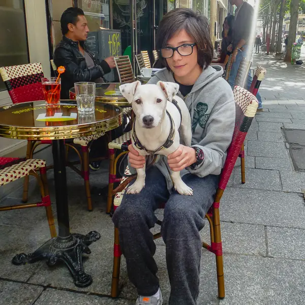  A canine patron poses for a photo in a Paris sidewalk café.