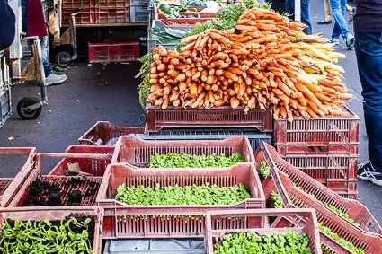 Vegetables at Beauvais public market
