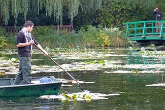 Gardener at Giverney water-lily pond