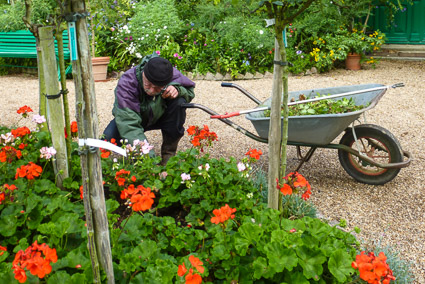 Gardener in Jardins de Claude Monet