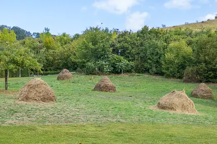 Meadow with haystacks, Giverny