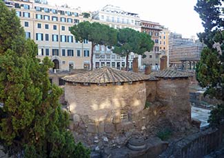 largo argentina cat sanctuary