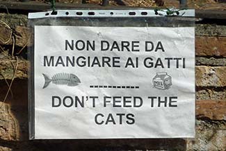 Don't Feed the Cats sign
