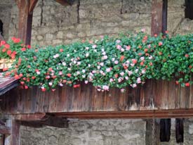 Window boxes at Castle of Chillon, Montreux