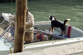 Murano boat with dog