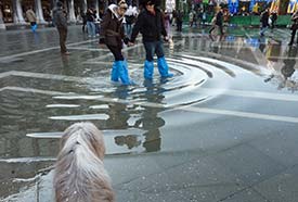 Piazza San Marco during acqua alta