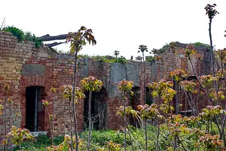 Ruins on Certosa