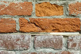 Bricks with membrane to prevent migration of salt