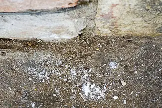 Salt on the ground in Campiello de la Madonna, Cannaregio
