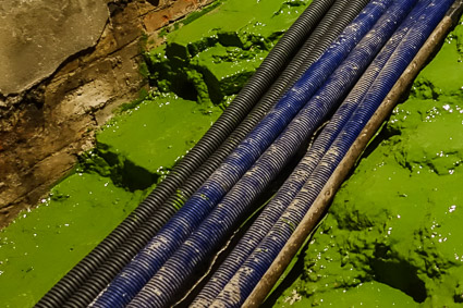 Utility lines and green goo on Venice bridge during repair