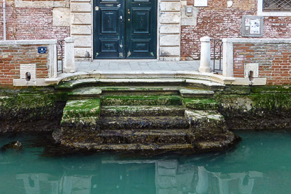 Mossy canal steps in Venice
