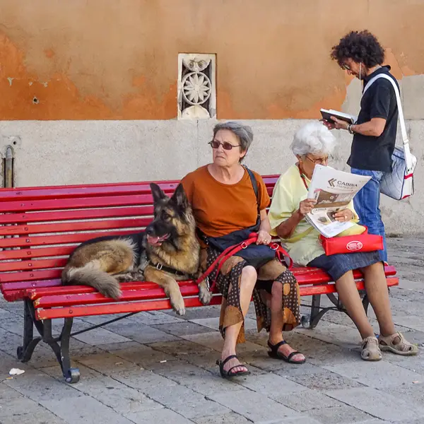 A lady and her German Shepherd relax on a public bench in Venice.