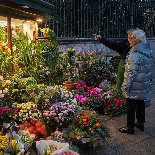 A customer admires the merchandise at Venice's prettiest flower shop, which is just below the Campo San Stefano near the Accademia Bridge in San Marco.