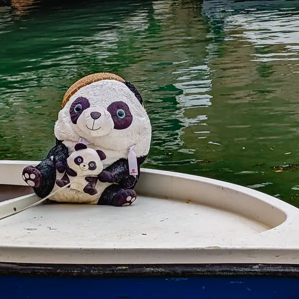 Pandas go boating in Venice, Italy.