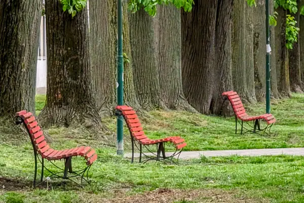 Park benches in Giardini Pubblici, Venice, Ialy.